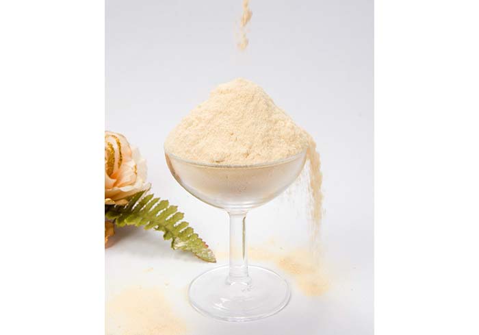 Application of Soya Lecithin Powder in Candy