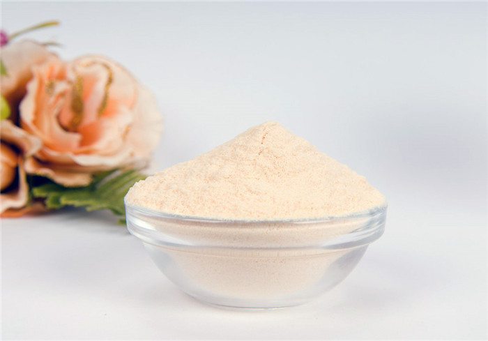 Light Yellow Soya Lecithin Powder