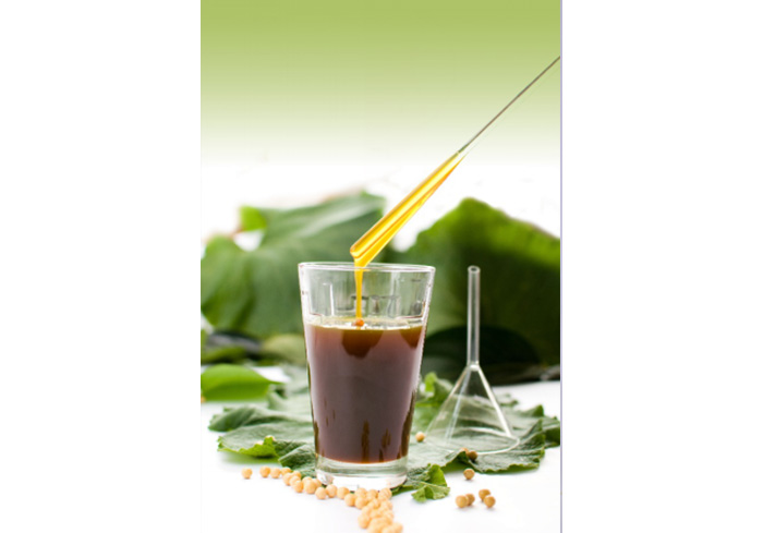 Concentrate Soya Lecithin Liquid
