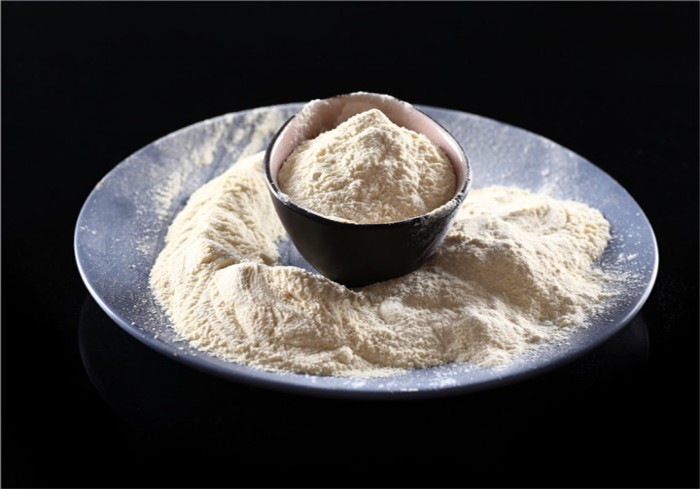 Bulk supply NON-GMO soya soybean lecithin powder with best price